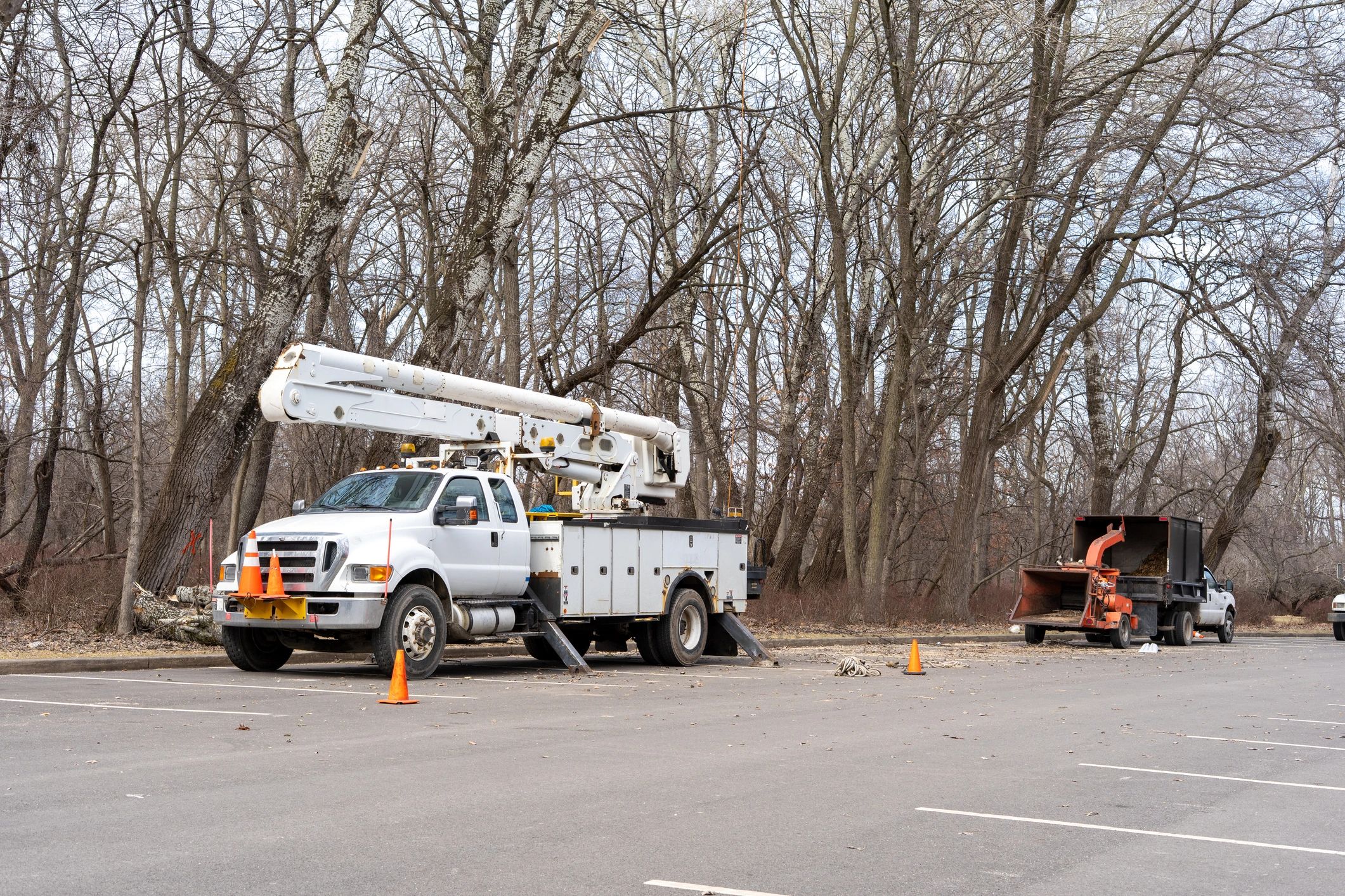 Junk removal truck and cleanup equipment ready for debris hauling